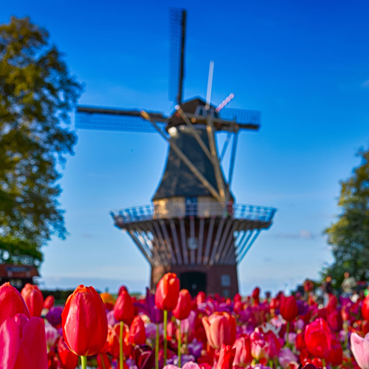 Skin Longevity Meder Conference 2026