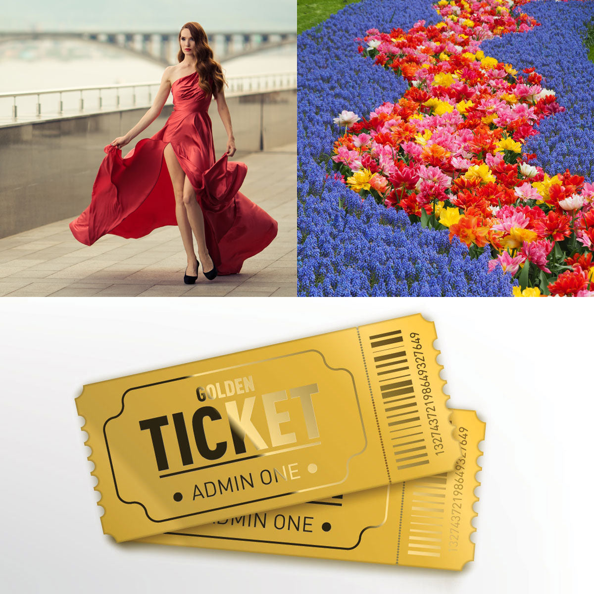 Skin Longevity Meder Conference 2026