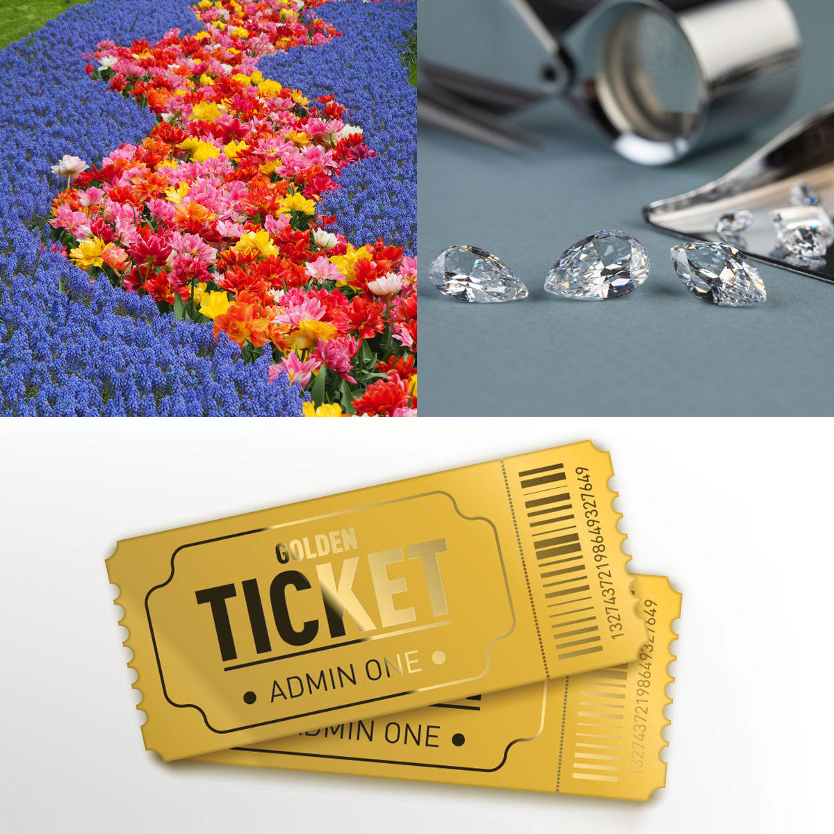 Skin Longevity Meder Conference 2026