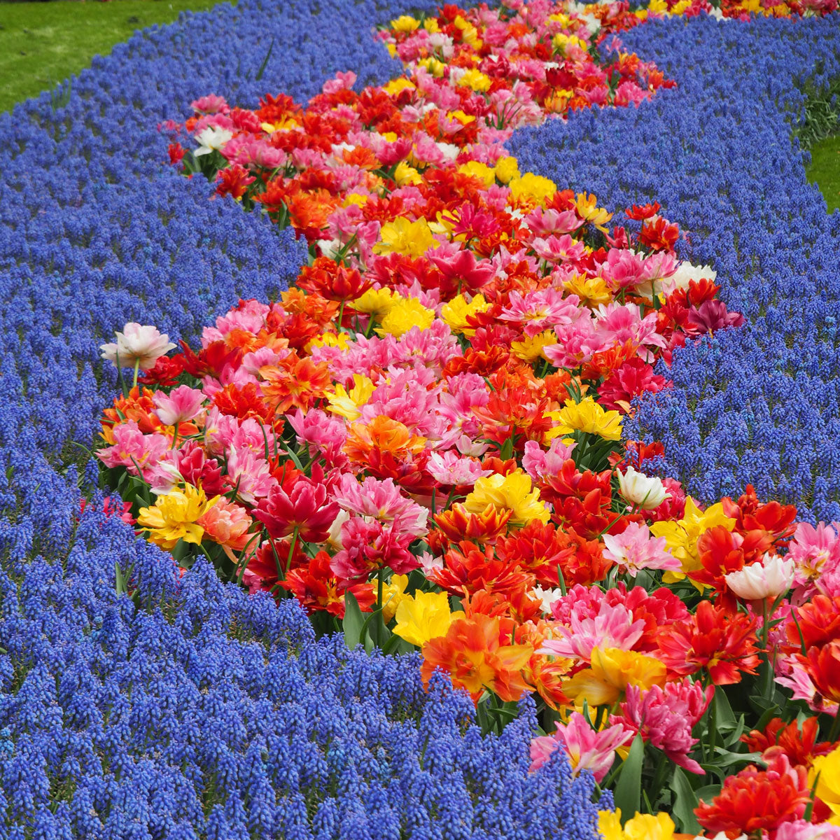 Skin Longevity Meder Conference 2026